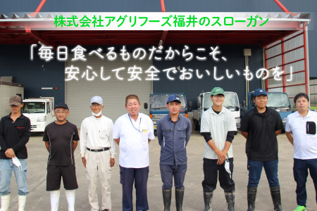 【令和7年産】 おおかわさんちの華越前 5kg 精米 [A-10811]