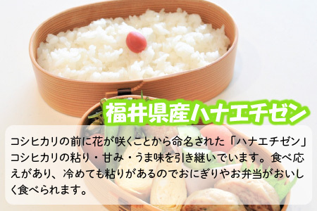 【令和7年産】 おおかわさんちの華越前 5kg 精米 [A-10811]
