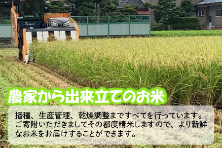 【令和7年産】 おおかわさんちの華越前 5kg 精米 [A-10811]