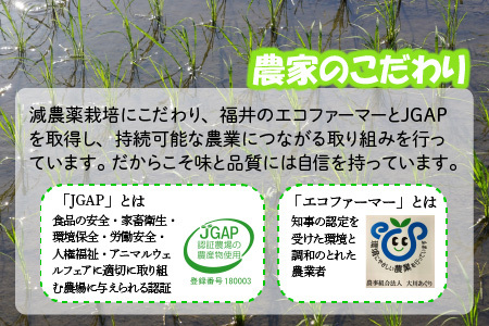 【令和7年産】 おおかわさんちの華越前 5kg 精米 [A-10811]