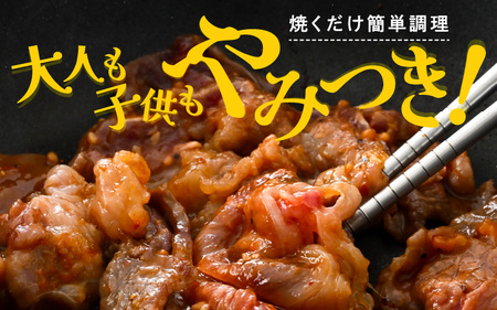焼くだけ簡単調理！ 若狭牛スタミナ焼き (味付き) 500g (250g×2袋) 小分け 牛肉 [A-2249]