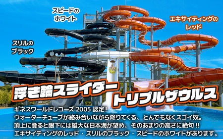 【芝政ワールド】スーパーパスポート1名様（こども1名） 【遊園地 アクティビティ プール リゾートプール レジャー施設 レジャースポット アトラクション キッズ チケット フリーパス 入場券 旅行 夏休み アウトドア レジャー】 [A-3901]