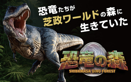 【芝政ワールド】スーパーパスポート1名様（おとな1名） 【遊園地 アクティビティ プール リゾートプール レジャー施設 レジャースポット アトラクション キッズ チケット フリーパス 入場券 旅行 夏休み アウトドア レジャー】 [A-3902]