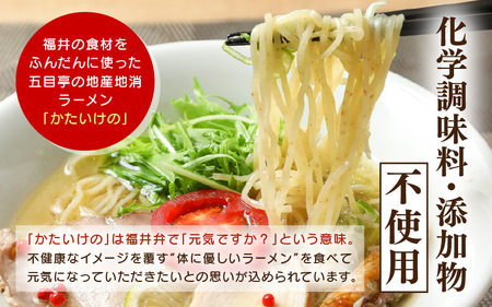 ラーメン 福井らーめん 『かたいけの』 3食入り 無化調 【拉麺 中華麺 自家製 ふすま麺 スープ付き 具材付き 生めん 細麺 ヘルシー 健康】 [A-20101]