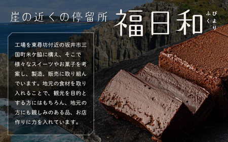 生ガトーショコラ 1本 ～スイーツ専門店自慢の濃厚ショコラケーキ～ [A-21007]