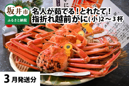先行予約  越前がに (小) 指折れ 2～3杯【3月発送】 越前ズワイガニ [C-4352_03]