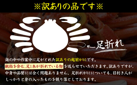 先行予約 訳あり 越前がに (大) 指折れ 1杯 1kg前後 【2月発送】 越前ズワイガニ [K-4303_02]