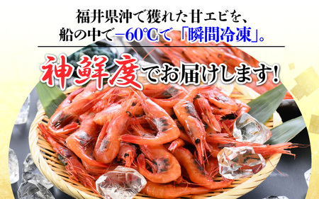 【訳あり】甘えび 約1kg 漁船直送☆船内瞬間冷凍【ワケアリ 海老 えび エビ アマエビ あまえび 甘海老 殻付き 有頭 生食 刺身 冷凍 魚介類 魚貝類 産地直送 坂井市産 福井県産 国産 三国 人気】 [A-2316]