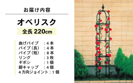 daim オベリスク ブラック 220cm 【バラ クレマチス つる性植物 ローズオベリスク ガーデンオベリスク オベリスク つるバラ つる 花 薔薇 ばら ガーデニング トレリス 菜園 組み立て 支柱 園芸】 [A-18405]