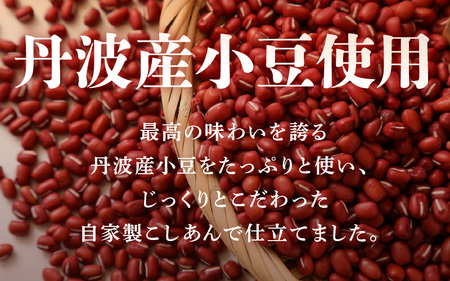 【期間限定】 福井の水ようかん 280g×2箱 【水羊羹 羊羹 あん 餡子 こし餡 和菓子 和スイーツ お菓子 デザート 冬の味覚】 [A-12825]