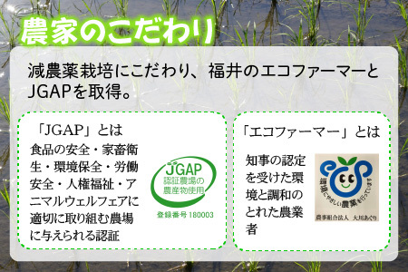 【令和7年産】 おおかわさんちのこしひかり 5kg 精米 コシヒカリ [A-10810]