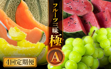 【先行予約】【定期便 4回コース】 坂井市フルーツ三昧！！「極」A 【2026年6月上旬以降順次発送開始予定】定期便 くだもの 果物 [H-3202]
