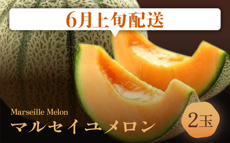 【先行予約】【定期便 4回コース】 坂井市フルーツ三昧！！「極」A 【2026年6月上旬以降順次発送開始予定】定期便 くだもの 果物 [H-3202]