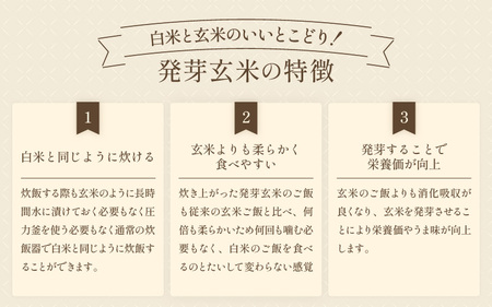 【令和7年産】発芽玄米 特別栽培米 コシヒカリ 5kg 【米 玄米 こしひかり ギャバ GABA 特別栽培 食物繊維 栄養 真空パック ごはん ご飯 おいしい ふるさと納税米】 [B-2940]