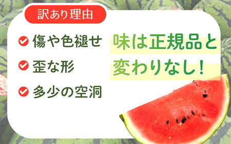 先行予約【訳アリ】大玉スイカ 1玉 ～羅皇～ 2026年7月中旬以降順次発送予定 スイカ [A-16514]
