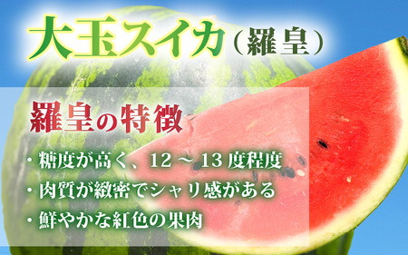 先行予約【訳アリ】大玉スイカ 1玉 ～羅皇～ 2026年7月中旬以降順次発送予定 スイカ [A-16514]