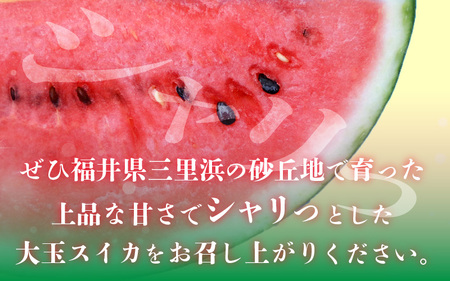 先行予約【訳アリ】大玉スイカ 1玉 ～羅皇～ 2026年7月中旬以降順次発送予定 スイカ [A-16514]