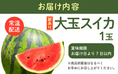 先行予約【訳アリ】大玉スイカ 1玉 ～羅皇～ 2026年7月中旬以降順次発送予定 スイカ [A-16514]