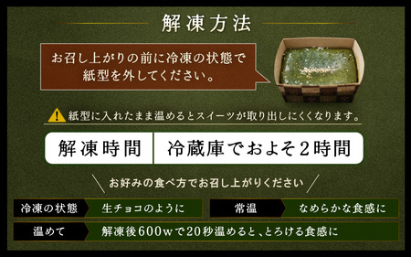 抹茶のフォンダンショコラ（1本）約270g [A-4521]