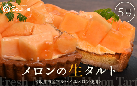 【先行予約】【数量限定】サクサク食感 マルセイユメロンのフレッシュタルトケーキ 5号：直径15cm (4〜5人前) 850g 【2026年6月より順次発送】【メロン めろん ケーキ メロンケーキ ホール たると スイーツ デザート 果物 フルーツケーキ 洋菓子 贈答 ギフト】 [A-5205]