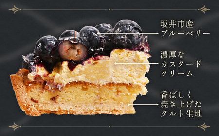 【先行予約】【数量限定】サクサク食感 ブルーベリーのフレッシュタルトケーキ 5号：直径15cm (4〜5人前) 850g 【2026年7月発送】【ブルーベリー ケーキ 生タルト 果物 くだもの ホール たると スイーツ デザート ベリー フルーツケーキ 洋菓子 贈答 ギフト】 [A-5206_07]
