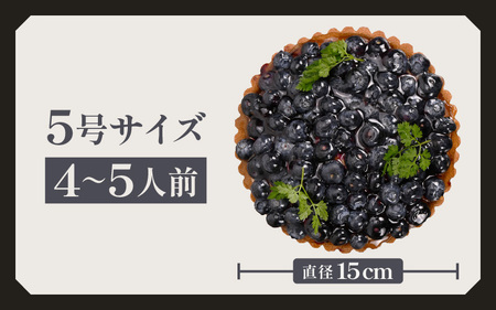 【先行予約】【数量限定】サクサク食感 ブルーベリーのフレッシュタルトケーキ 5号：直径15cm (4〜5人前) 850g 【2026年7月発送】【ブルーベリー ケーキ 生タルト 果物 くだもの ホール たると スイーツ デザート ベリー フルーツケーキ 洋菓子 贈答 ギフト】 [A-5206_07]