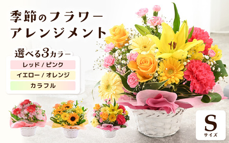 選べるカラー 季節のフラワーアレンジメント S (レッド・ピンク) 【お花 フラワー アレジメント 花束 ギフト 生花 プレゼント 花束 花 記念日 敬老の日 お祝い】 [A-20701_01]
