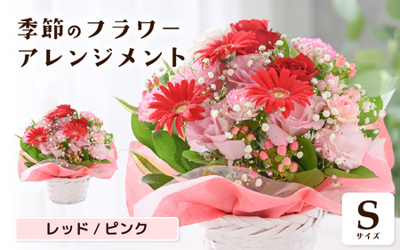 選べるカラー 季節のフラワーアレンジメント S (レッド・ピンク) 【お花 フラワー アレジメント 花束 ギフト 生花 プレゼント 花束 花 記念日 敬老の日 お祝い】 [A-20701_01]