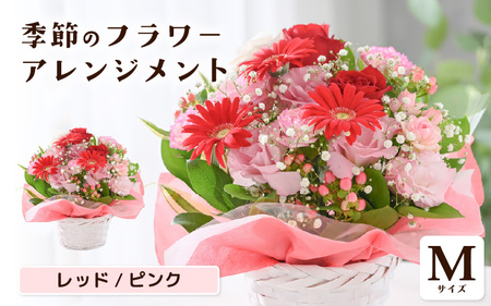 選べるカラー 季節のフラワーアレンジメント M (レッド・ピンク) 【お花 フラワー アレジメント 花束 ギフト 生花 プレゼント 花束 花 記念日 敬老の日 お祝い】 [A-20702_01]