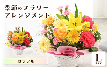選べるカラー 季節のフラワーアレンジメント L (カラフル) 【お花 フラワー アレジメント 花束 ギフト 生花 プレゼント 花束 花 記念日 敬老の日 お祝い】 [B-20701_03]
