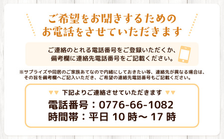 選べるカラー 季節のフラワーアレンジメント L (カラフル) 【お花 フラワー アレジメント 花束 ギフト 生花 プレゼント 花束 花 記念日 敬老の日 お祝い】 [B-20701_03]