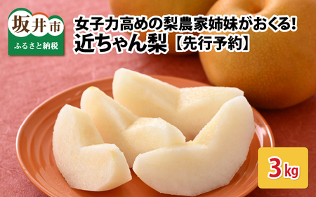 【先行予約】女子力高めの梨農家姉妹がおくる！ 近ちゃん梨 3kg（3L～5L） 6～8玉入り (幸水梨or豊水梨) 【2025年8月中旬～9月下旬発送予定】【梨 なし フルーツ 甘い みずみずしい 果実 果物 新鮮 旬の果物】 [A-6318]