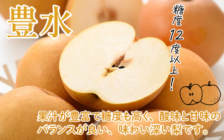 【先行予約】女子力高めの梨農家姉妹がおくる！ 近ちゃん梨 3kg（3L～5L） 6～8玉入り (幸水梨or豊水梨) 【2025年8月中旬～9月下旬発送予定】【梨 なし フルーツ 甘い みずみずしい 果実 果物 新鮮 旬の果物】 [A-6318]
