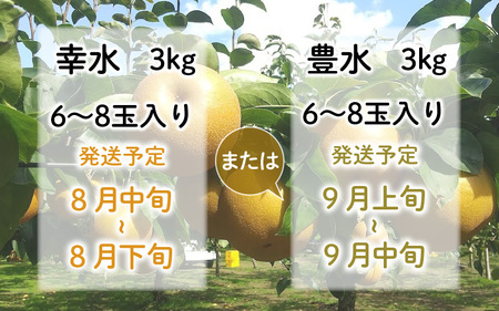 【先行予約】女子力高めの梨農家姉妹がおくる！ 近ちゃん梨 3kg（3L～5L） 6～8玉入り (幸水梨or豊水梨) 【2025年8月中旬～9月下旬発送予定】【梨 なし フルーツ 甘い みずみずしい 果実 果物 新鮮 旬の果物】 [A-6318]