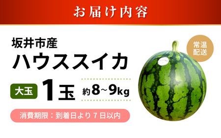 【先行予約】 坂井市産 ハウススイカ 1玉入り 8～9kg (大玉) 一度食べたらやみつき！甘さと美味しさに心が弾む ハウススイカ！ 【2026年6月中旬以降順次発送予定】【スイカ 西瓜 すいか デザート 果物 くだもの 夏 甘い ジューシー 旬の果物 産地直送】 [A-16205]