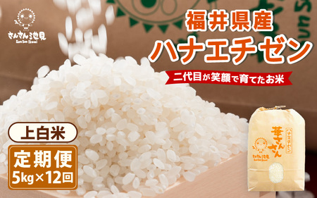 【令和7年産】【12ヶ月連続お届け】ハナエチゼン5kg×12回 計60kg (上白米) ～福井県産 生産者直送！～ 【米定期便 玄米定期便 回数定期便 こめ定期便 5キロ定期便 定期便】 [M-0203_01]