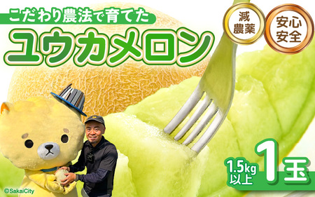【先行予約】 安心安全！減農薬！こだわり農法で育てた ユウカメロン 1玉 1.5kg以上 【2026年6月中旬以降順次発送予定】 [A-21206]