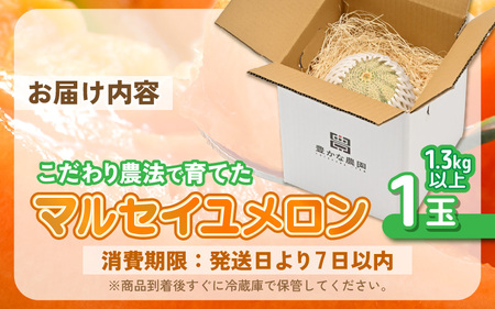 【先行予約】 安心安全！減農薬！こだわり農法で育てたマルセイユメロン 1玉 (1玉あたり：1.3kg以上) 【2026年6月中旬以降順次発送予定】 【メロン めろん 赤肉 フルーツ デザート 果物 くだもの 果実 糖度 甘い 産地直送 国産】 [A-21210]