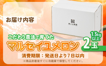 【先行予約】 安心安全！減農薬！こだわり農法で育てたマルセイユメロン 2玉 (1玉あたり：1.3kg以上) 【2026年6月中旬以降順次発送予定】 【メロン めろん 赤肉 フルーツ デザート 果物 くだもの 果実 糖度 甘い 産地直送 国産】 [A-21212]