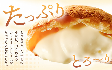 【2025年12月より順次発送】羽二重もっちりシュー 12個 シュークリーム スイーツ [A-08185_12]