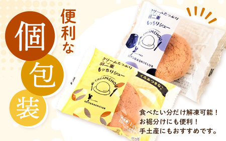 【12月25日までの決済完了で年内発送】 羽二重もっちりシュー 計16個 (プレーン8個、黒蜜きなこ8個) スイーツ お菓子 詰め合わせ [A-08186] 