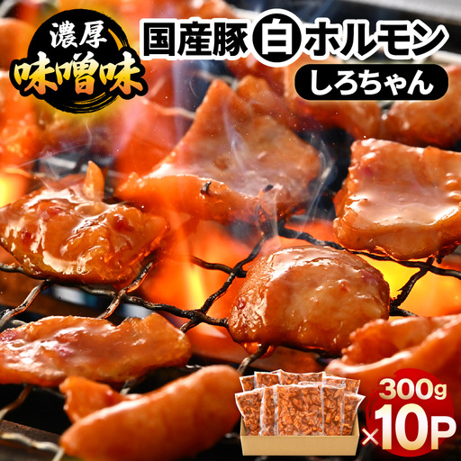 国産豚 白ホルモン しろちゃん 濃厚味噌味 300g × 10p (計3kg) 【豚 豚肉 ぶた ホルモン ほるもん 豚腸 味噌 濃厚 おつまみ おかず 夜のおかず 夜ごはん 味付き 冷凍 国産】 [A-12436]
