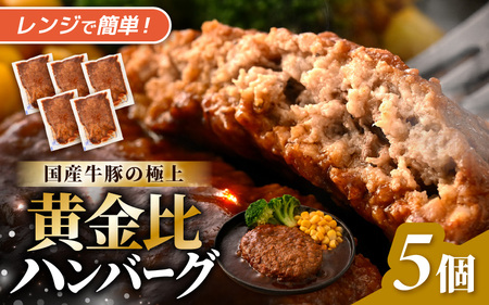 デミグラスハンバーグ 5個入り 簡単調理 ハンバーグ 年内発送 [A-0586]