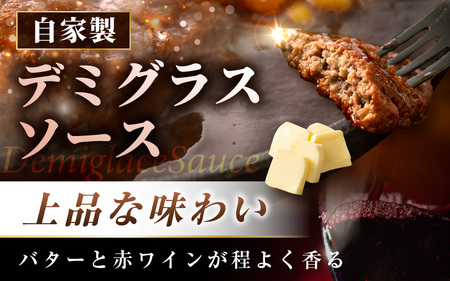 デミグラスハンバーグ 5個入り 簡単調理 ハンバーグ 年内発送 [A-0586]