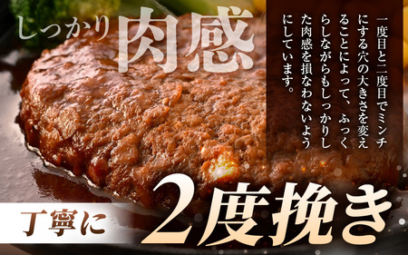大容量 ハンバーグ 140g × 20個入り 簡単調理 デミグラス ハンバーグ 年内発送 [A-0585]