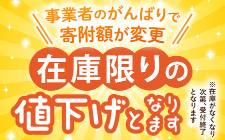 【先行予約】【数量限定】 マルセイユメロン 2Lサイズ以上 × 4玉 【2026年6月上旬より順次発送】 [A-16511]