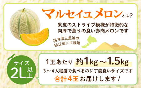【先行予約】【数量限定】 マルセイユメロン 2Lサイズ以上 × 4玉 【2026年6月上旬より順次発送】 [A-16511]