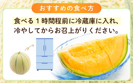 【先行予約】【数量限定】 マルセイユメロン 2Lサイズ以上 × 4玉 【2026年6月上旬より順次発送】 [A-16511]