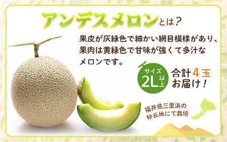 【先行予約】【数量限定】三里浜アンデスメロン 2L以上 × 4玉 【2026年6月下旬より順次発送】 [A-16513]