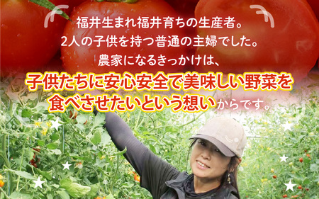 【先行予約】 越のルビー 農家直送 フルーツトマト1.8kg 【2026年6月中旬以降順次発送予定】 福井県産ブランドトマト 野菜 産地直送 [A-21802]